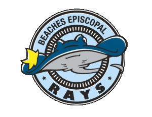 BES Rays Logo